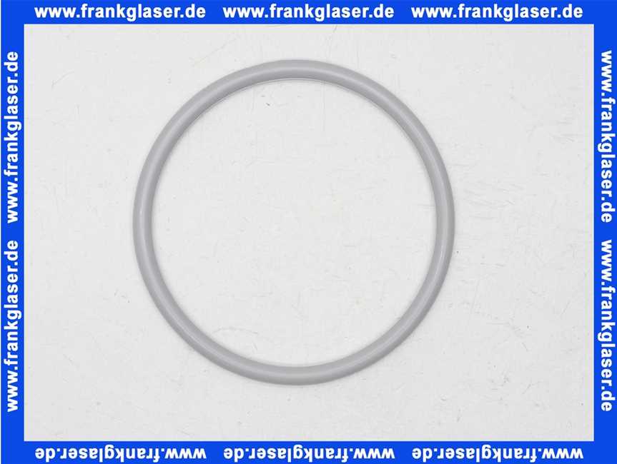 7747007986 Sieger O-Ring 160x10