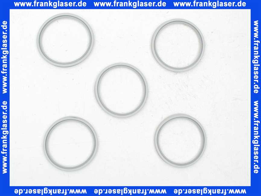 7747021733 Sieger Lippendichtung DN80 PerOxyd (5x), für KUB 19,27-3, TS 10-19,-27