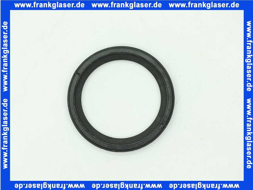 Lippendichtring Dichtung DN 40