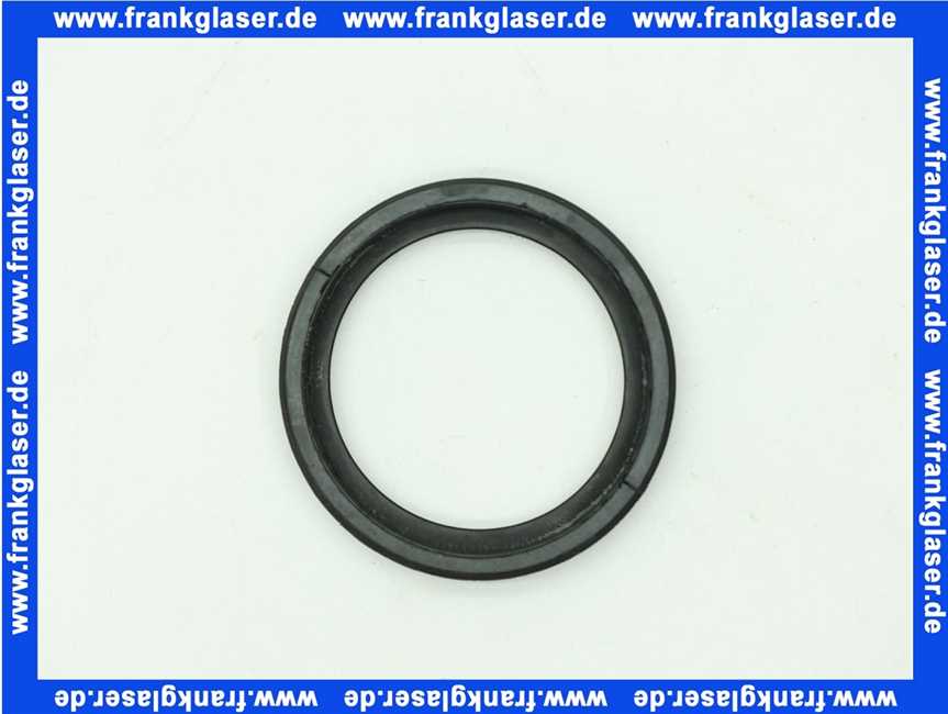 Lippendichtring Dichtung DN 40