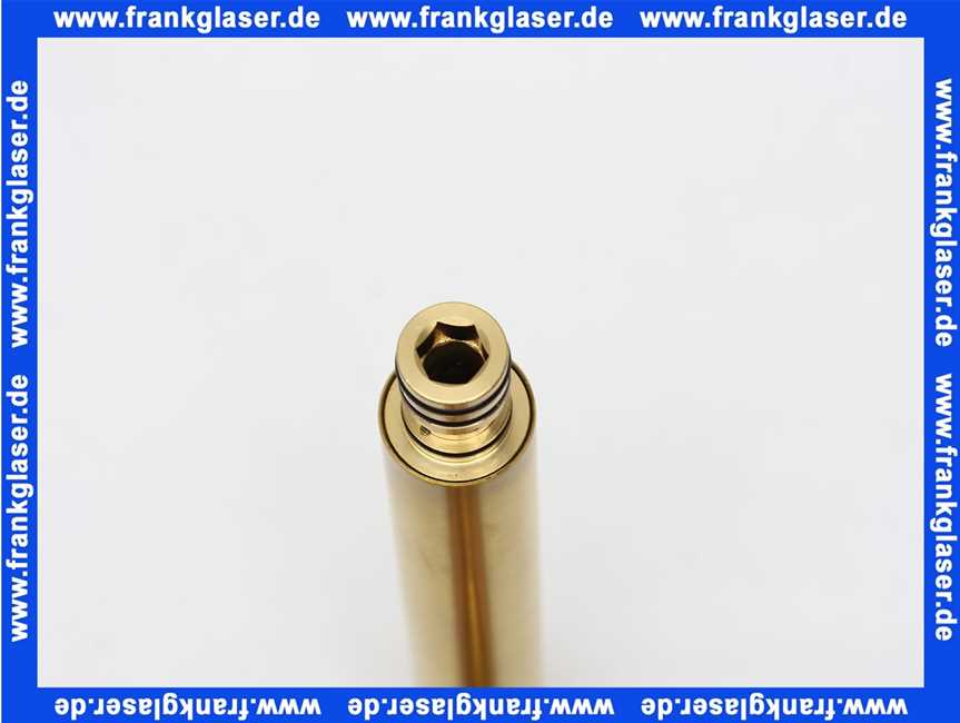 0999710BG Steinberg Wandauslauf 190mm brushed gold