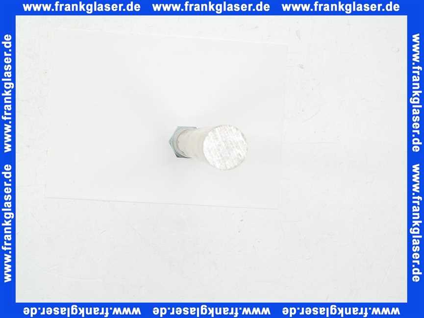 169413 Stiebel Eltron Signalanode G3/4x310