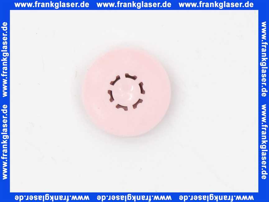 Stiebel Eltron 279933 Durchfluss Mengenregler 4,0 pink