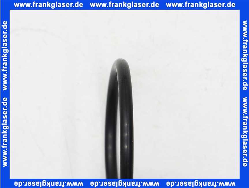 11120633 Sulzer EPDM O-Ring