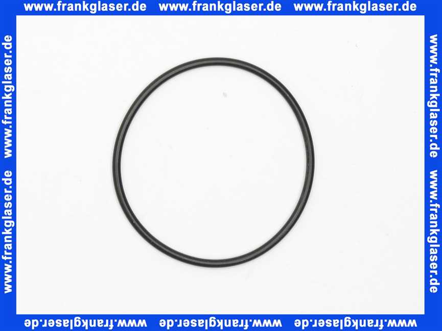 231400903 SYR O-Ring für DUO DFR/FR HOT