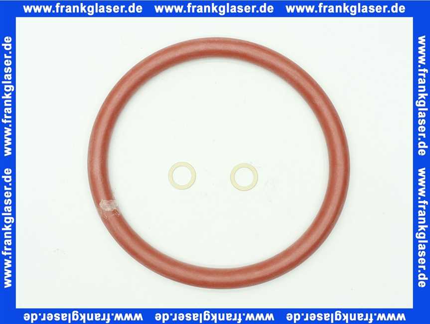 Vaillant Dichtungssatz, Brennerwartung 0020020845
