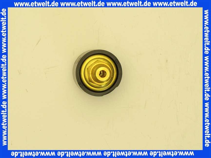 Vaillant Druckwächter, Wassermangels. 050591