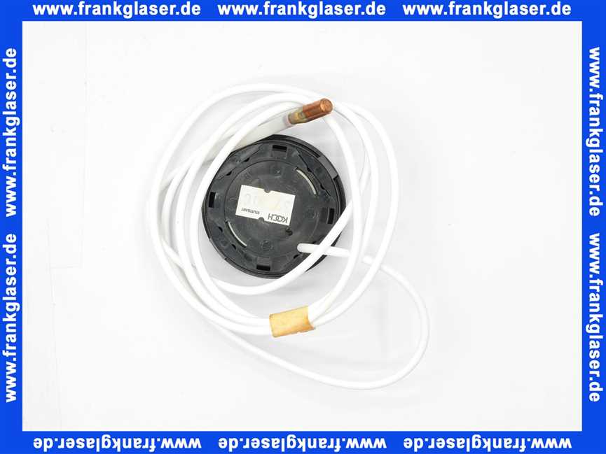 Vaillant Thermometer 101534