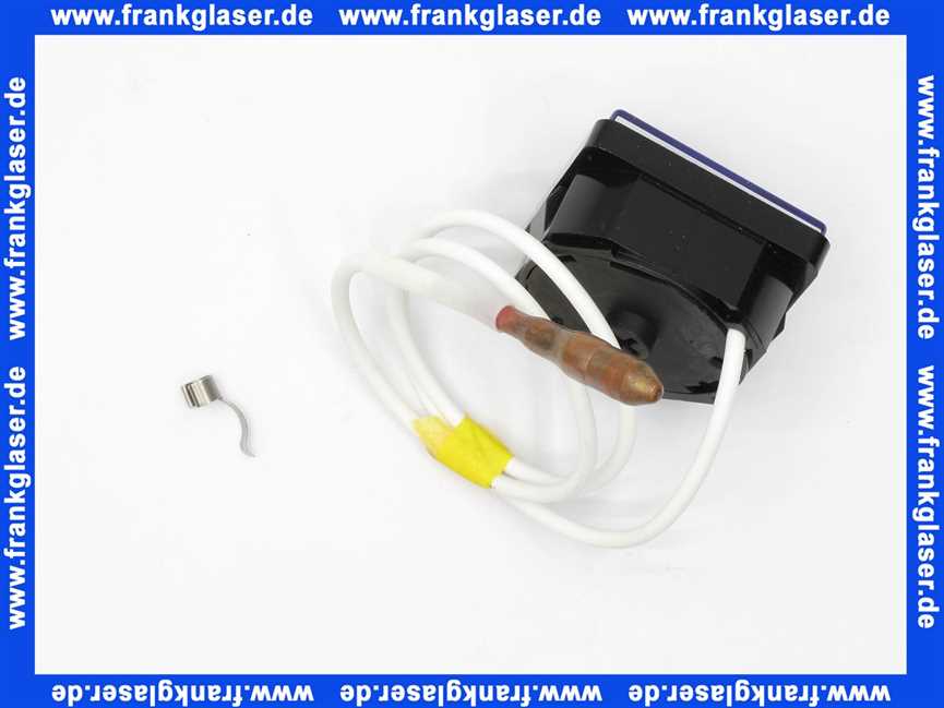 Vaillant Thermometer 101542