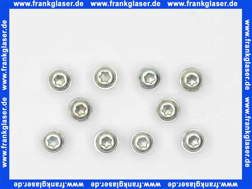 Vaillant Linsenschraube, (x10) 105900