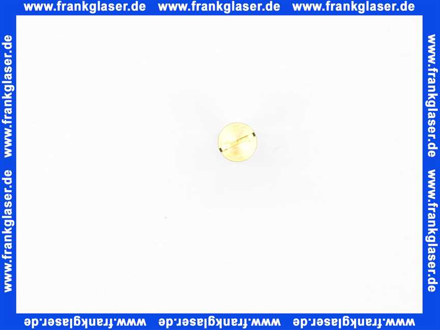 Vaillant Kolben 203031