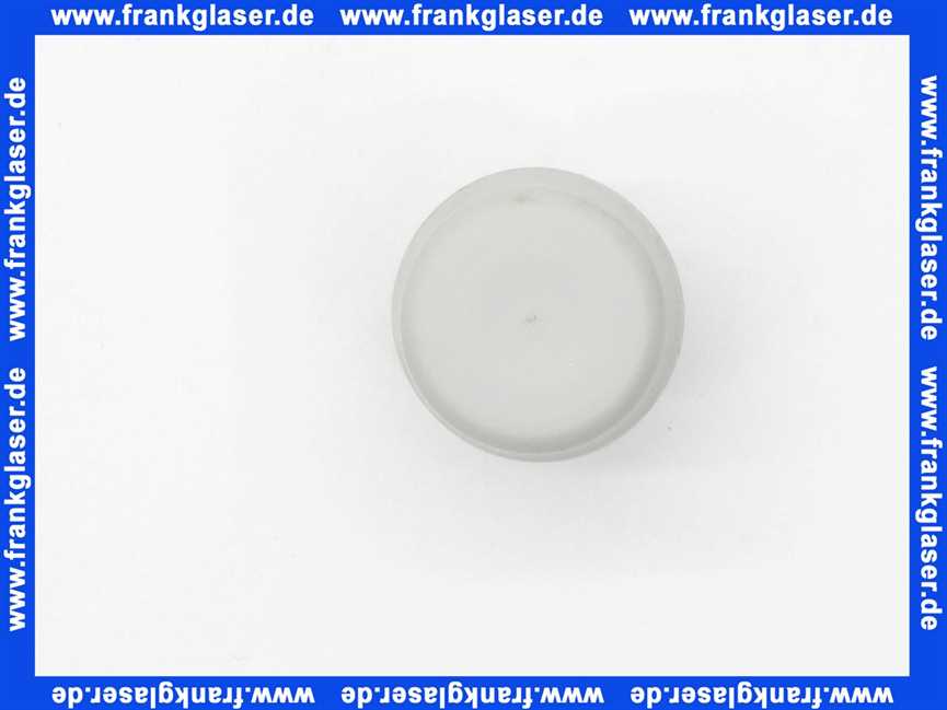 Vaillant Schalter 257982