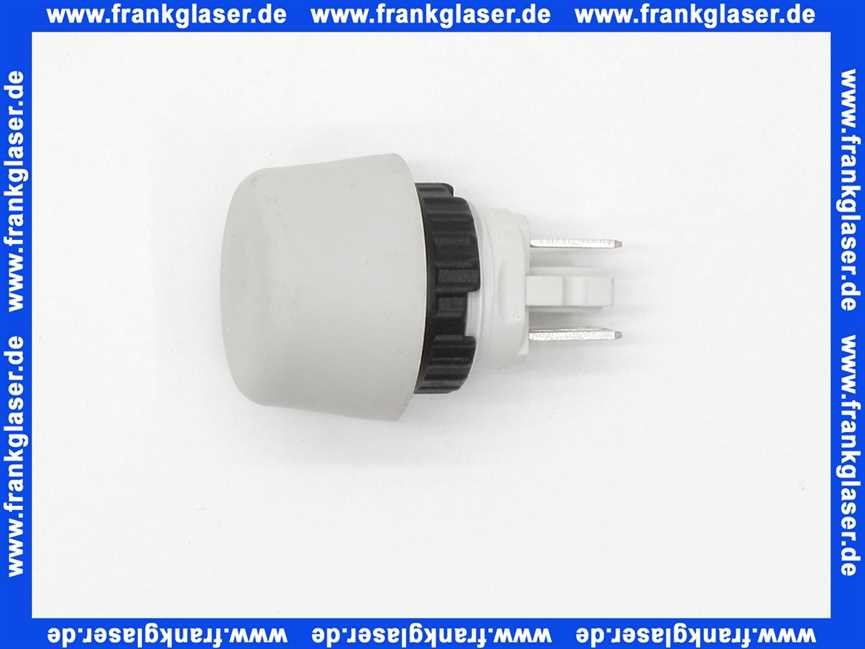 Vaillant Schalter 257982