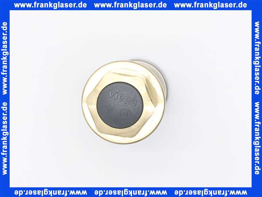 481209 Viega Ventiloberteil Easytop 2239.20 in G 1 Rotguss