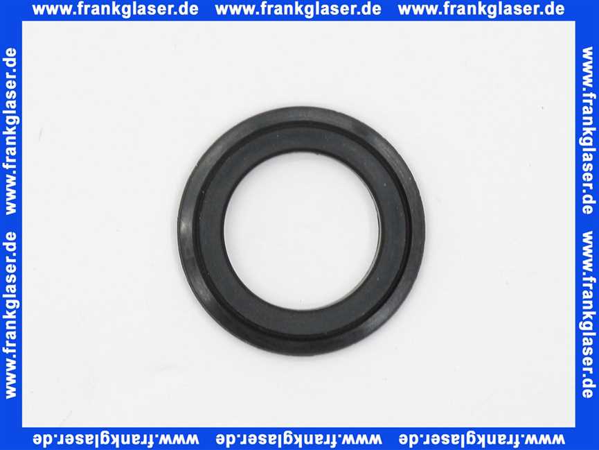 652029 Viega Dichtung