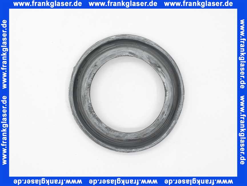 676667 Viega Dichtung