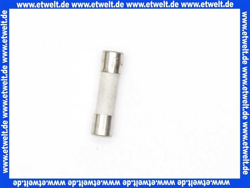 7404364 Viessmann Sicherung T 4,0A 250V (1 Stück)