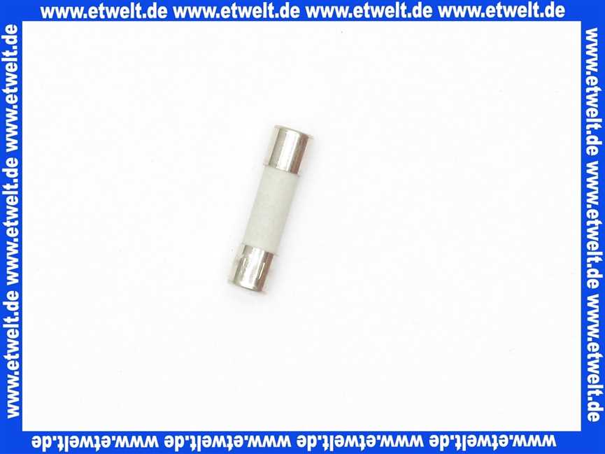 7404365 Viessmann Sicherung T 6,3A 250V (1 Stück)