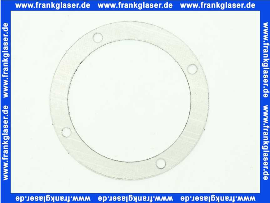 7810656 Viessmann Graphitdichtung
