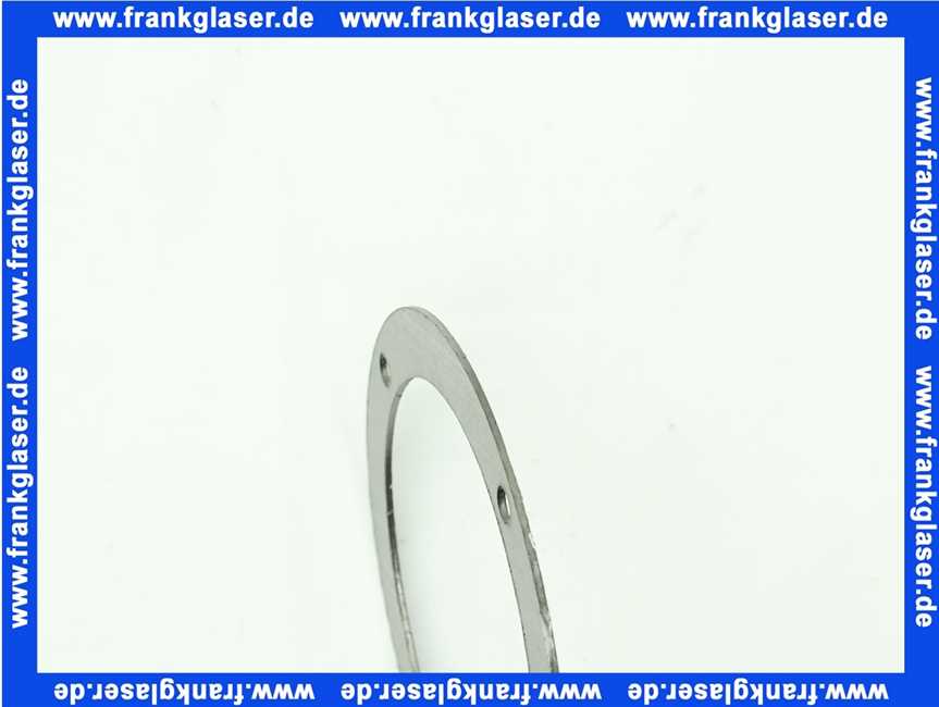 7810656 Viessmann Graphitdichtung