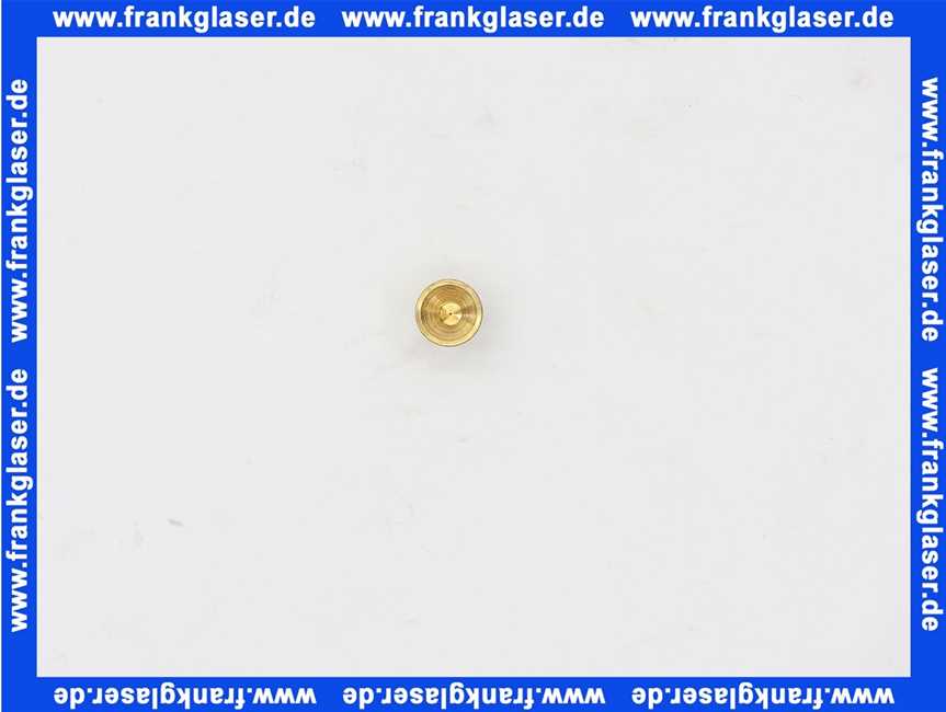 7815264 Viessmann Zündbrennerdüse Typ 24 FLG Polidoro für Flüssiggas