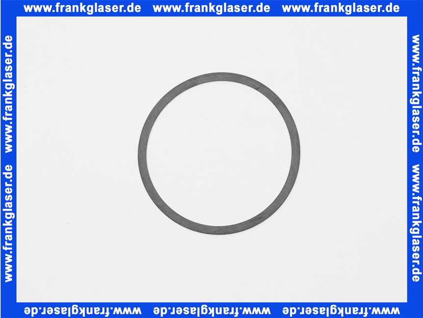 7815716 Viessmann Pumpendichtung