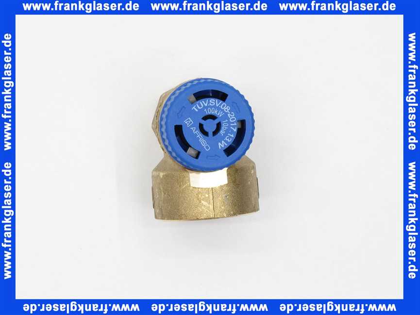 7822048 Viessmann Sicherheitsventil 3/4 Zoll x 1 Zoll 10bar