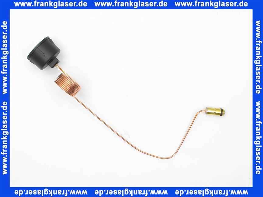 7822739 Viessmann Manometer mit Kapillar 0-4 bar