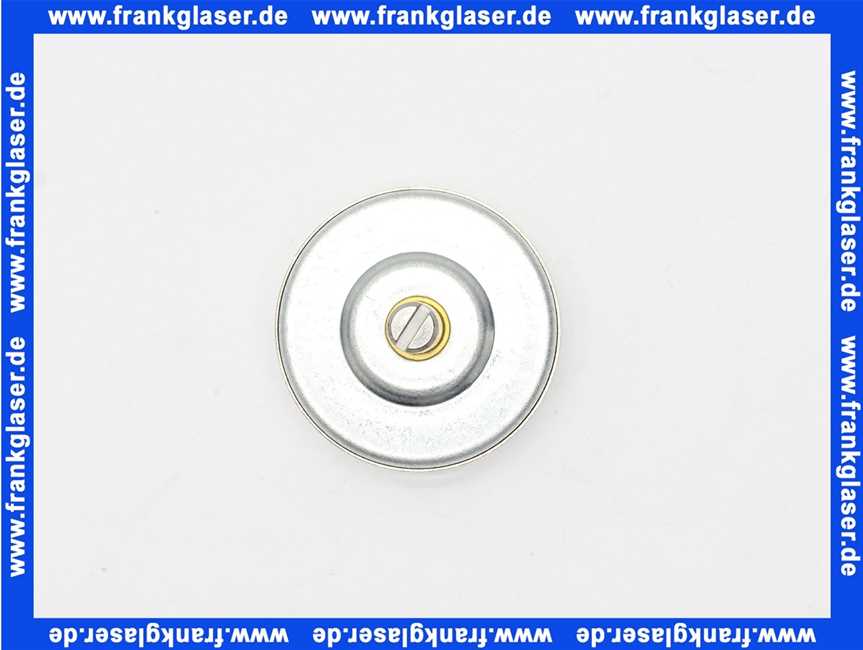 7823231 Viessmann Thermometer 0..120°C d=40 rot