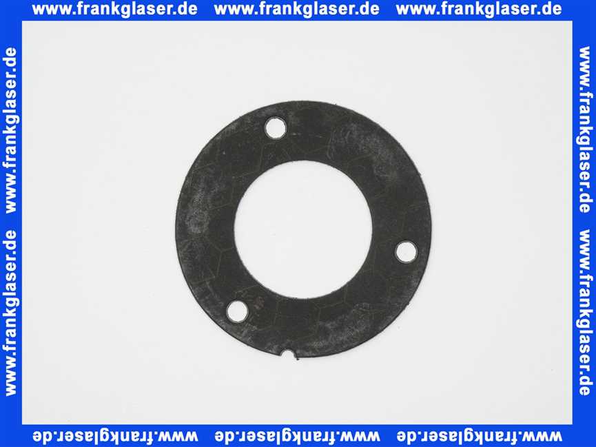 7826503 Viessmann Flammkörperdichtung