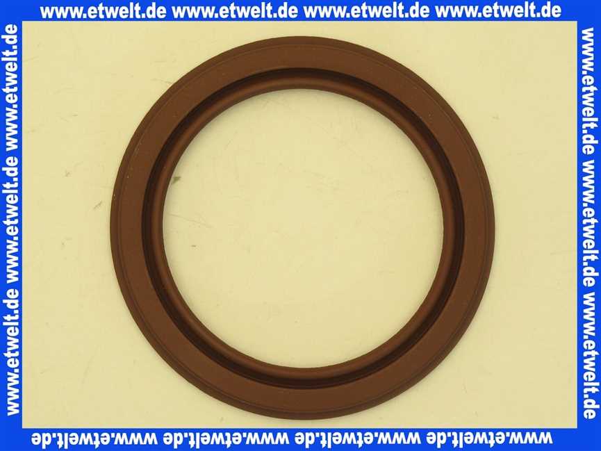 7827923 Viessmann Durchführungstülle DN80