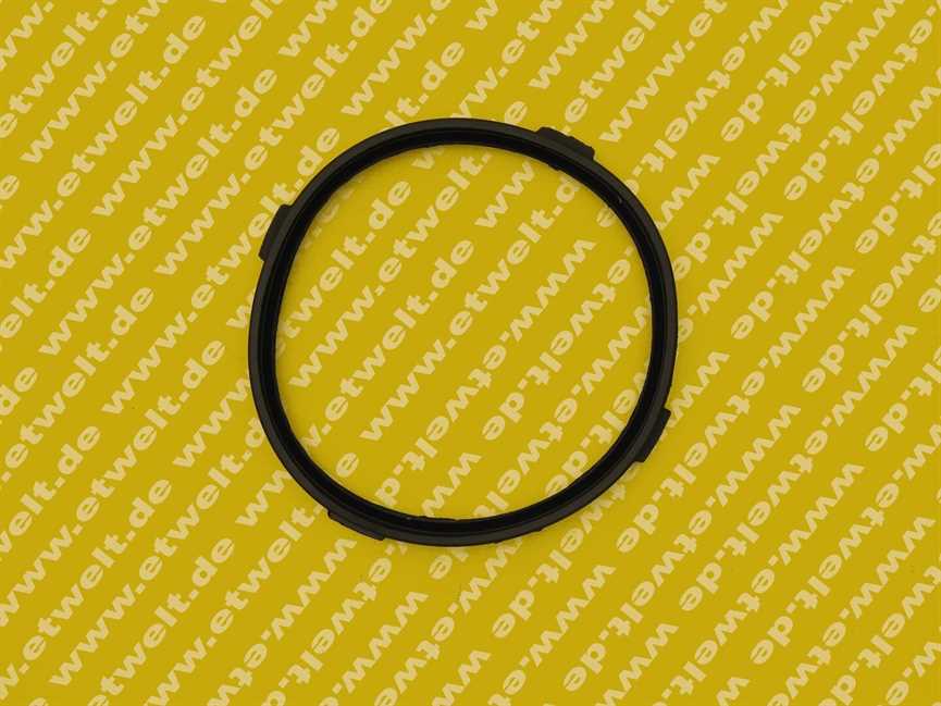 7830597 Viessmann Lippendichtung D=80 Abgas