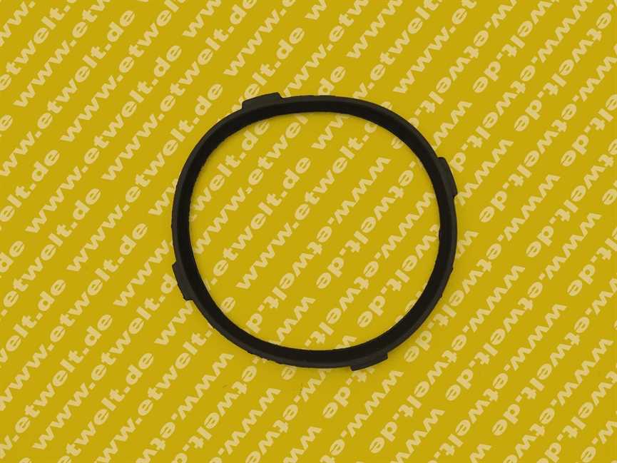 7830597 Viessmann Lippendichtung D=80 Abgas