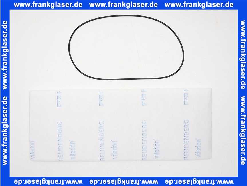 15133426192 Weishaupt Filtereinsatz-Set WF 3150/1 bestehend aus: Filtereinsatz und O-Ring