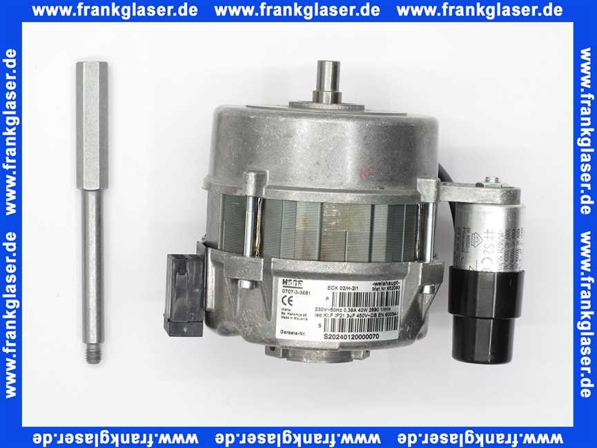 23005008012 Weishaupt Motor ECK02/H-2/1 230V 50Hz mit Stehbolzen WG5