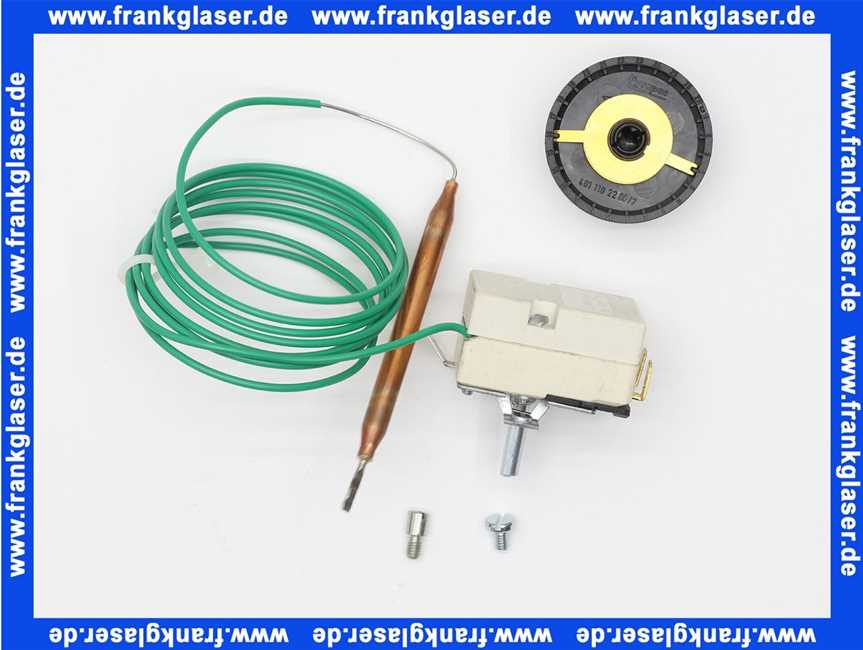 40211022202 Weishaupt Temperaturregler RAK53.4/3521