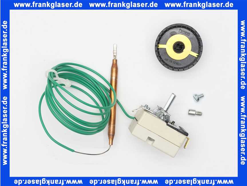 40211022202 Weishaupt Temperaturregler RAK53.4/3521