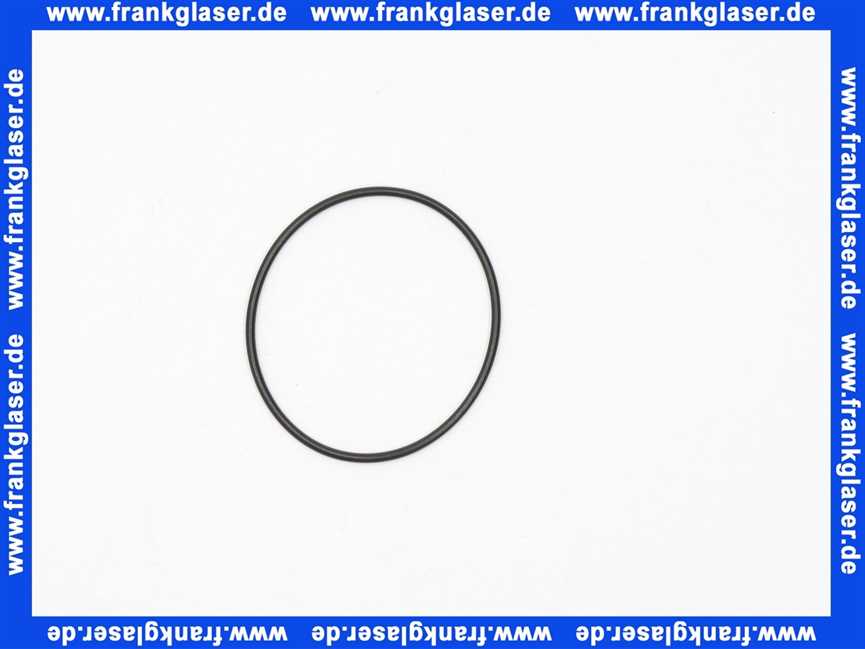 445517 Weishaupt O-Ring 27 X 1,5 Zündgasflansch G 3/4 und Deckel seitlich DMV 5040 bis 5125