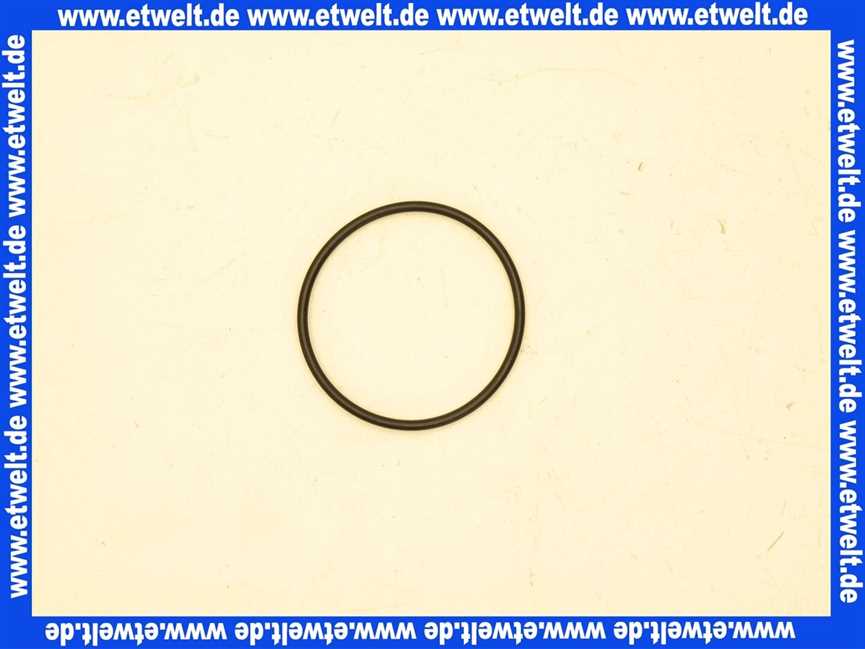 46101130417 Weishaupt O-Ring für Filter WTC-OW 15-A
