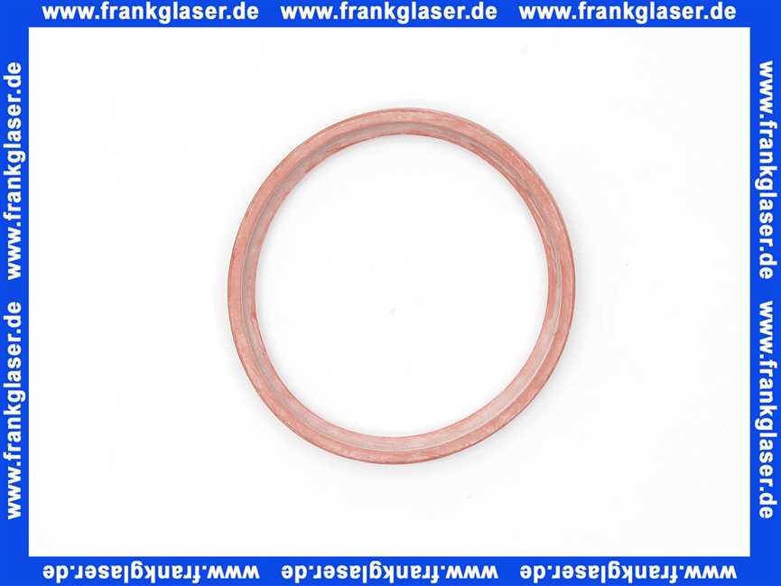 48000001507 Weishaupt Lippendichtung DN 70