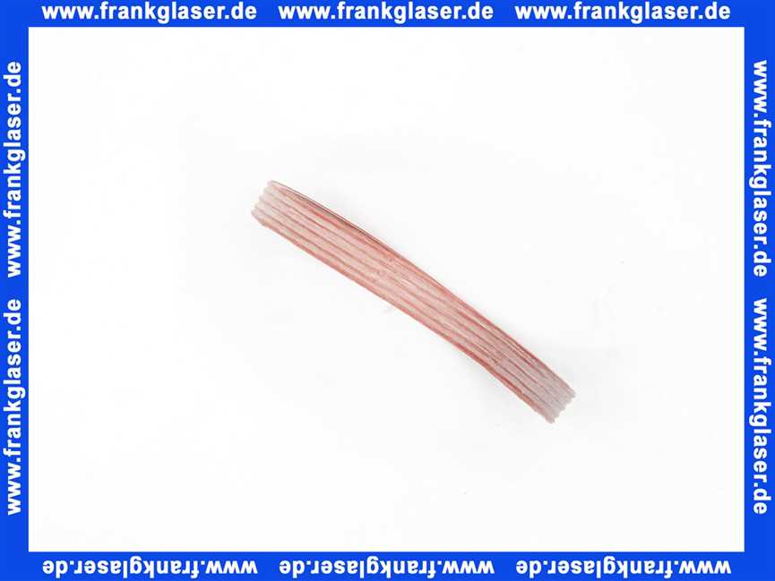 48000001507 Weishaupt Lippendichtung DN 70