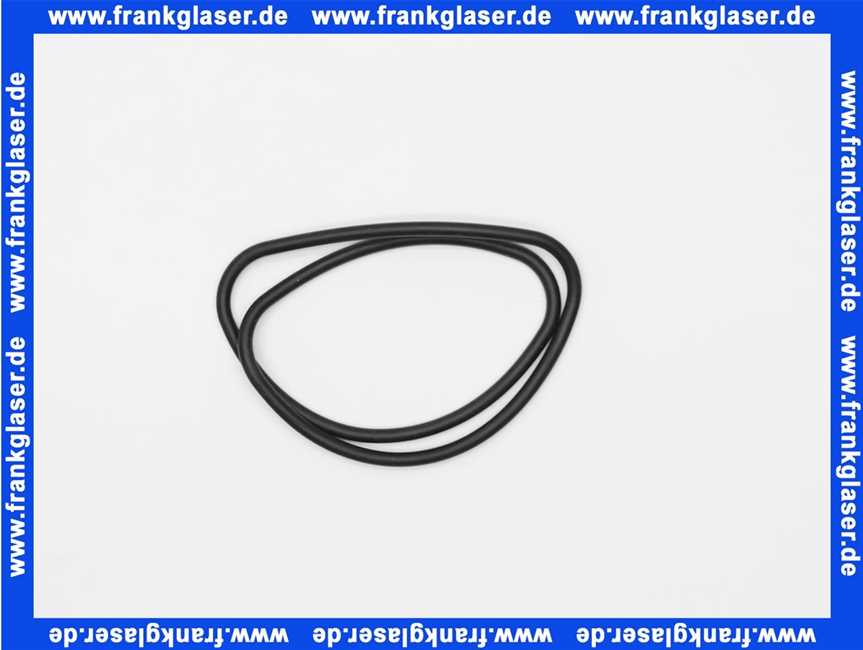 48101130057 Weishaupt Dichtung Wartungsdeckel WTC 15-A