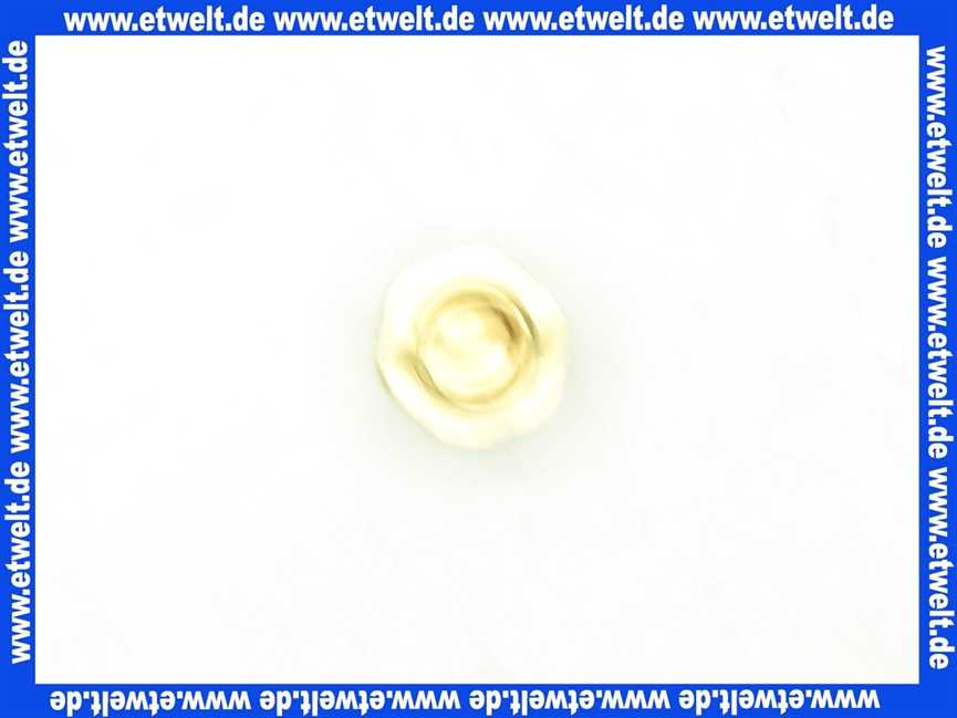 48121130737 Weishaupt Düse G20 D = 3,1