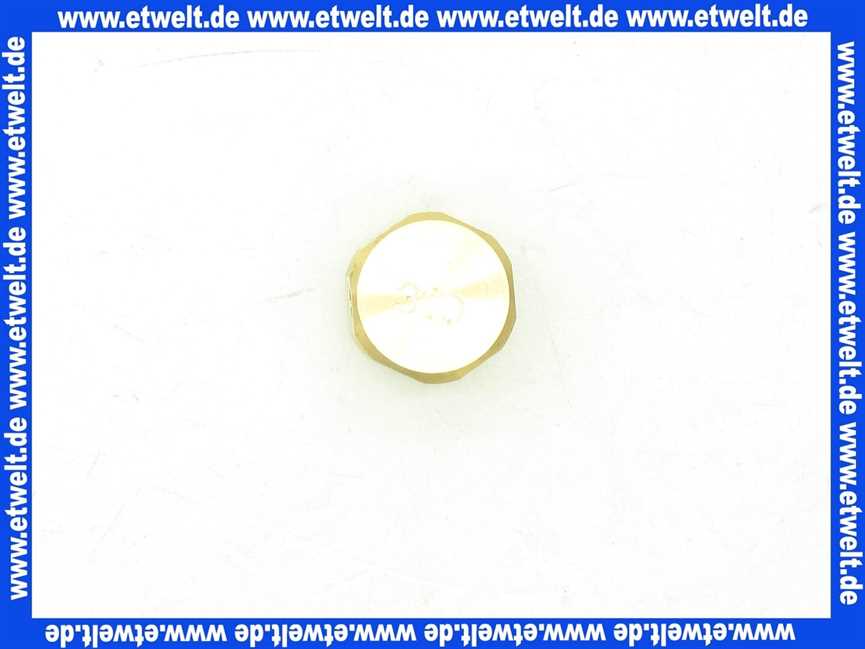 48121130737 Weishaupt Düse G20 D = 3,1