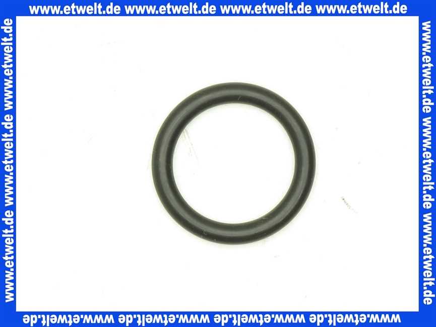 48121140107 Weishaupt O-Ring Dichtung Pumpenverschraubung
