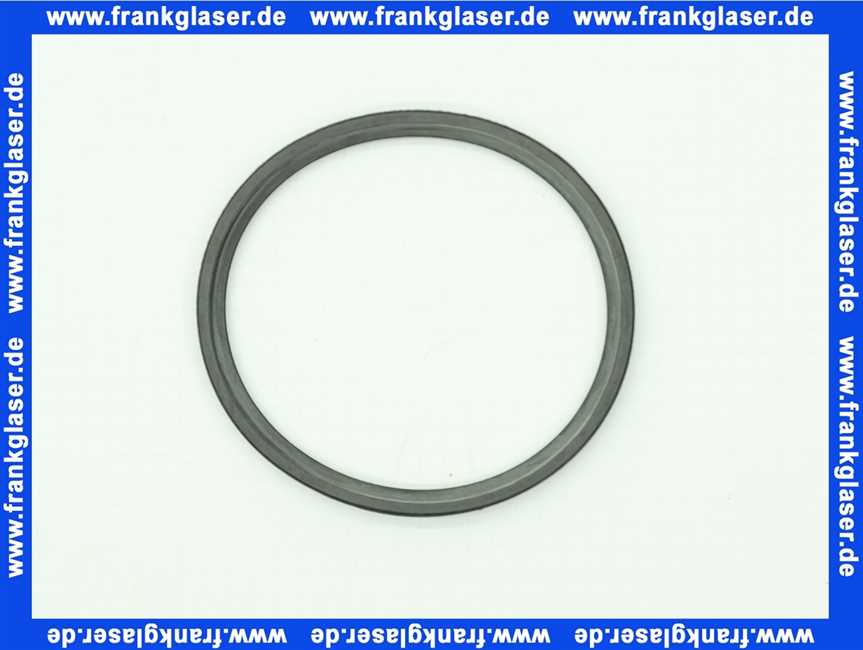 48140130137 Weishaupt Dichtung DN 80 für Abgaskanal oben
