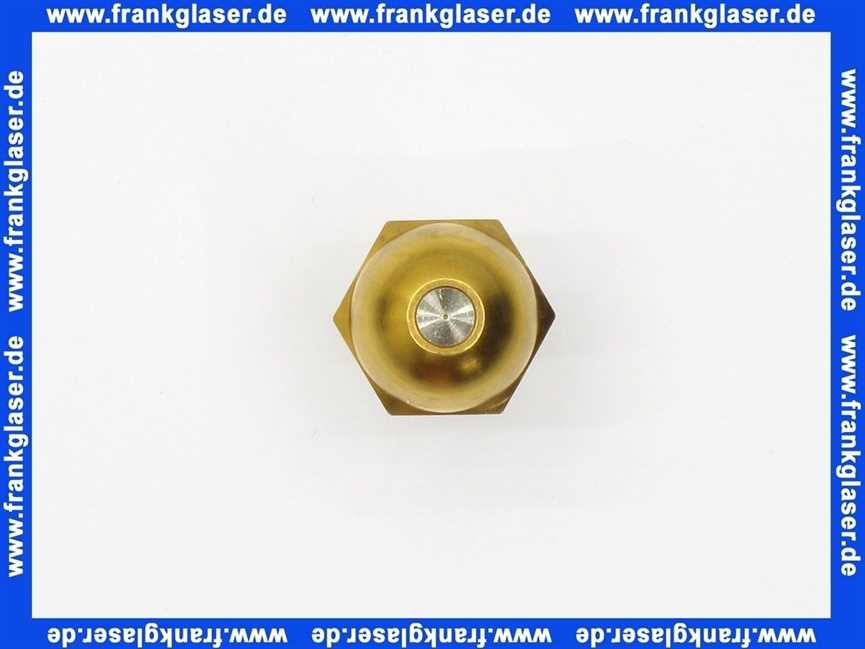 602119 Weishaupt Düse SR 60 1,00 GPH Danfoss mit Filter
