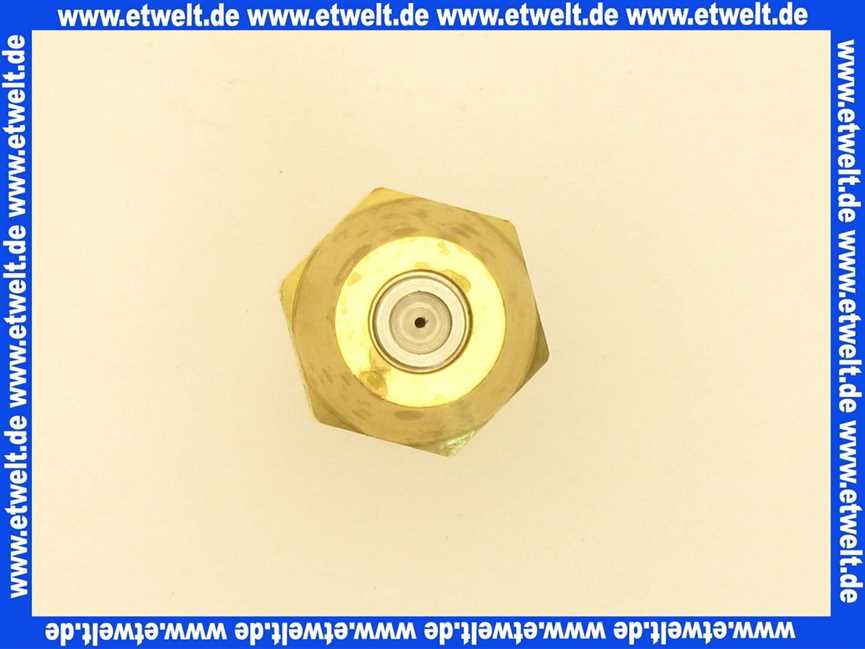 602579 Weishaupt Regeldüse WB3S1 60 kg 45 Grad
