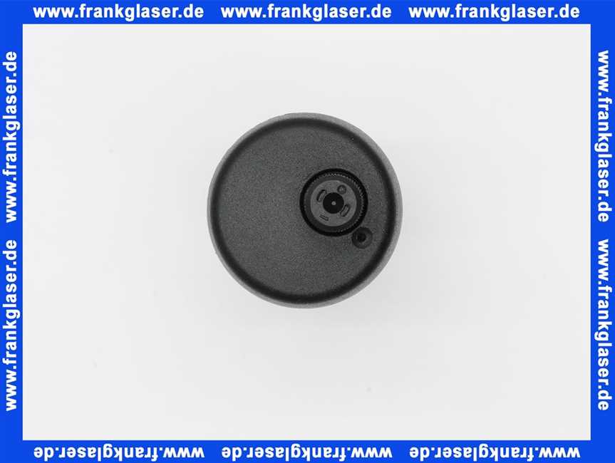 662042 Weishaupt Schnellentlüfter G3/8 für WWP (Kunststoffgehäuse)