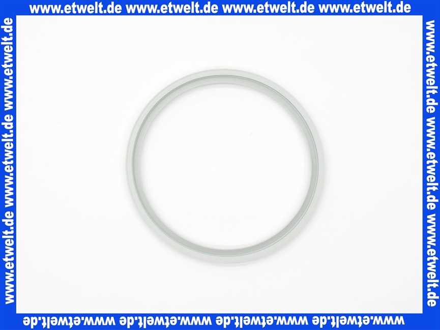 669212 Weishaupt Dichtung DN 110 für PP-Abgasrohr